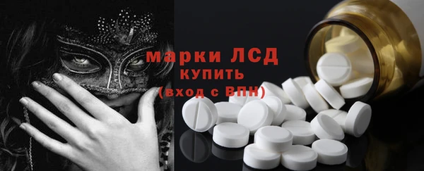 ECSTASY Богданович