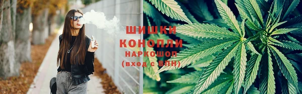 ECSTASY Богданович